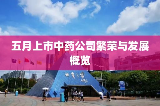 五月上市中藥公司繁榮與發展概覽